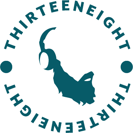 ThirteenEight Logo