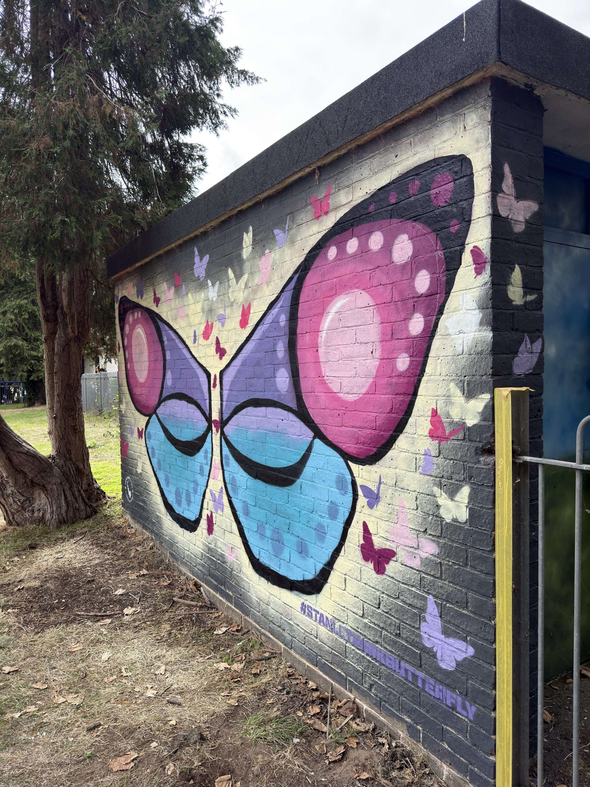 Stanley Park Butterfly side view